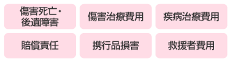 傷害死亡・後遺障害 傷害治療費用 疾病治療費用 賠償責任 携行品損害 救援者費用