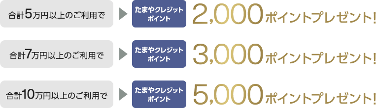 合計5万円以上のご利用でたまやクレジットポイント2,000ポイントプレゼント! 合計7万円以上のご利用でたまやクレジットポイント3,000ポイントプレゼント! 合計10万円以上のご利用でたまやクレジットポイント5,000ポイントプレゼント!