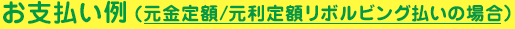 お支払い例　元金定額／元利定額リボルビング払いの場合